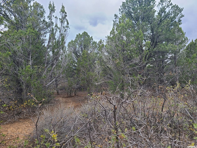 #17, Kanab, UT 84741 — photo 11