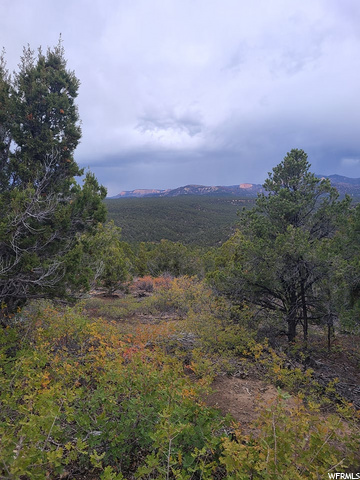 #17, Kanab, UT 84741 — photo 7