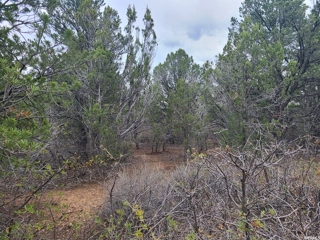 #17, Kanab, UT 84741 — photo 12