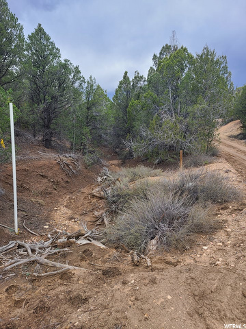 #17, Kanab, UT 84741 — photo 9