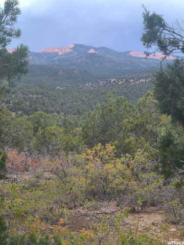 #16, Kanab, UT 84741 — photo 5