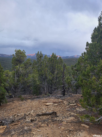 #16, Kanab, UT 84741 — photo 4