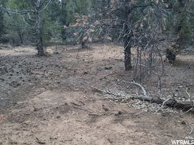 #16, Kanab, UT 84741 — photo 11