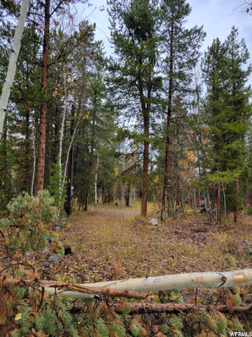 4998 Evergreen, Kamas, UT 84036 — photo 2