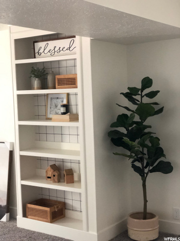 Basement Book Shelf/ Storage