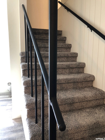 Stairs to Basement: All new Carpets