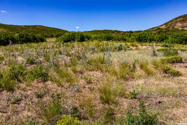 11274 N Centaur Pl #252, Heber City, UT 84032 — photo 3