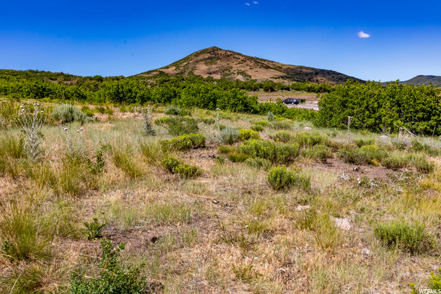 11274 N Centaur Pl #252, Heber City, UT 84032 — photo 2