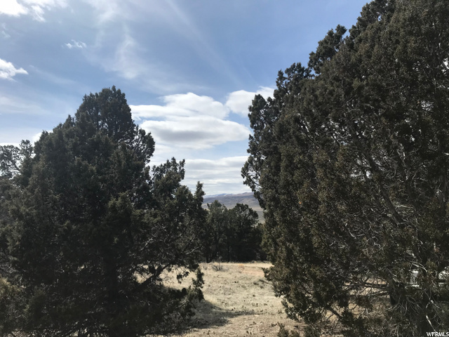 #6, Indianola, UT 84629 — photo 7