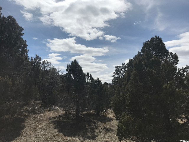 #6, Indianola, UT 84629 — photo 6