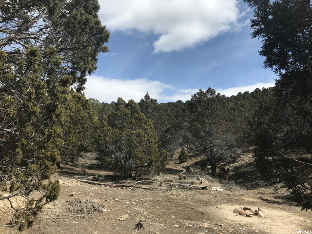 #17, Indianola, UT 84629 — photo 5