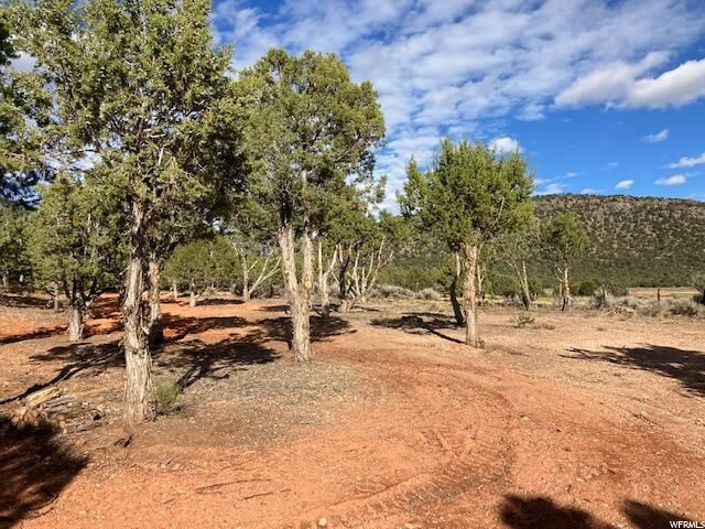 #53, Central, UT 84722 — photo 6