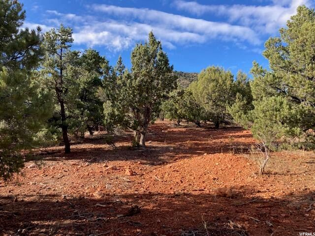 #53, Central, UT 84722 — photo 5