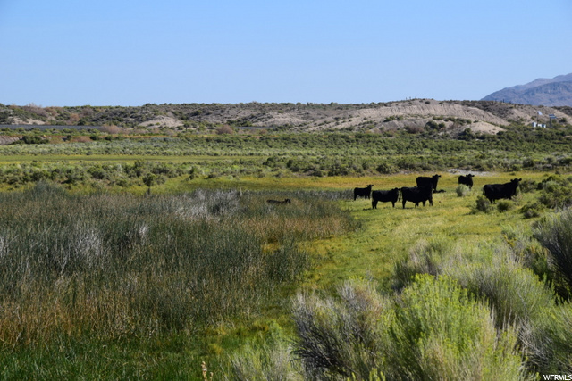 Leamington, UT 84638 — photo 7