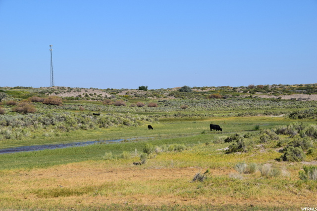 Leamington, UT 84638 — photo 12