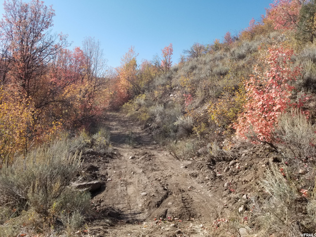 #24, Huntsville, UT 84317 — photo 5