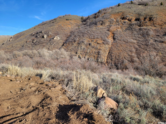 #24, Huntsville, UT 84317 — photo 11