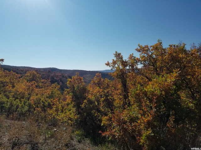 #24, Huntsville, UT 84317 — photo 7