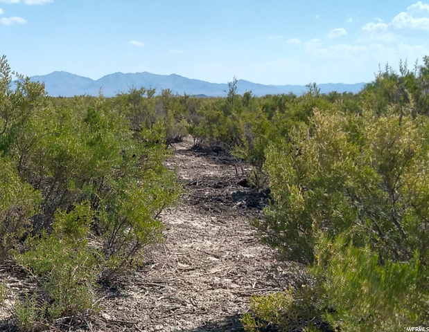 6000 N 9000 W, Delta, UT 84624 — photo 3