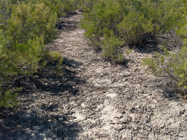 6000 N 9000 W, Delta, UT 84624 — photo 8