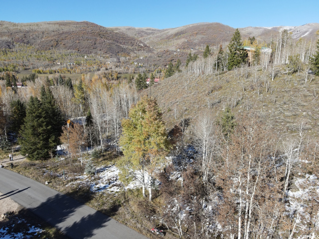 5697 Caribou #4, Oakley, UT 84055 — photo 9