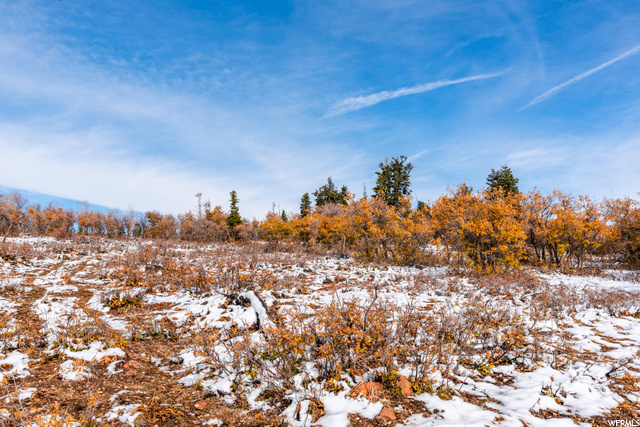 185 Porcupine Loop #175, Wanship, UT 84017 — photo 12
