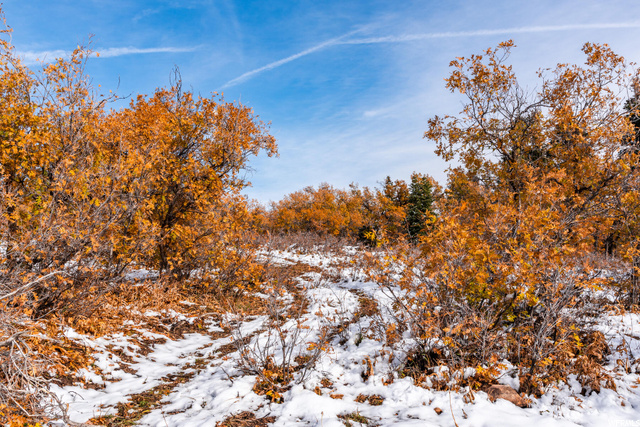 185 Porcupine Loop #175, Wanship, UT 84017 — photo 4