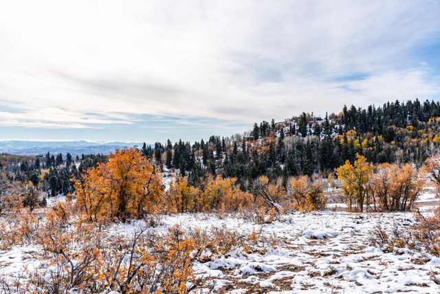 185 Porcupine Loop #175, Wanship, UT 84017 — photo 9