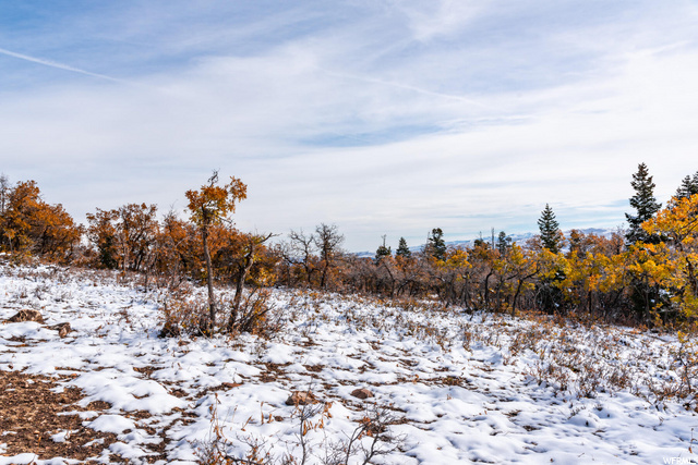 185 Porcupine Loop #175, Wanship, UT 84017 — photo 10