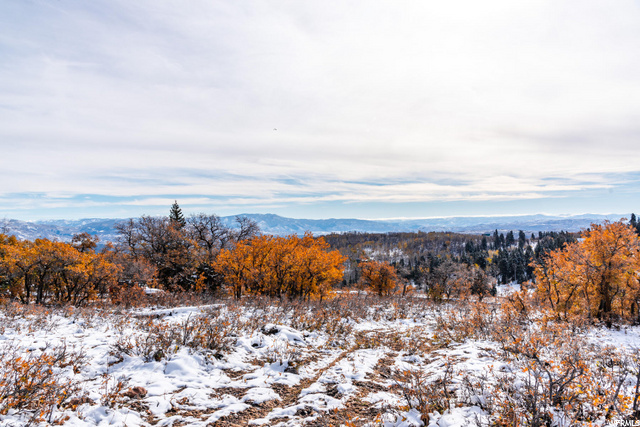 185 Porcupine Loop #175, Wanship, UT 84017 — photo 8