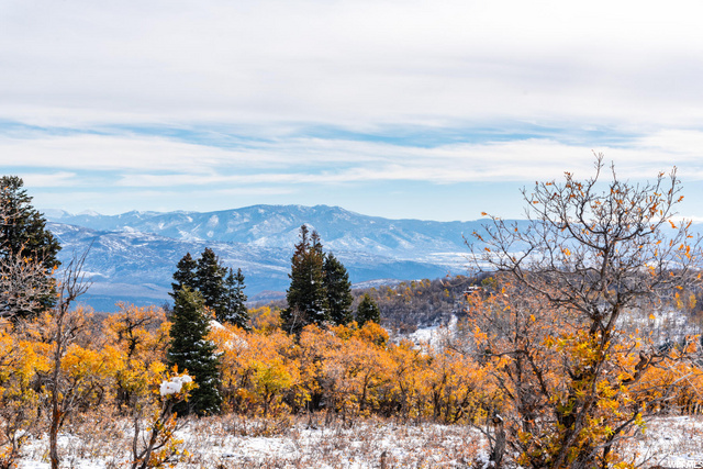 185 Porcupine Loop #175, Wanship, UT 84017 — photo 7