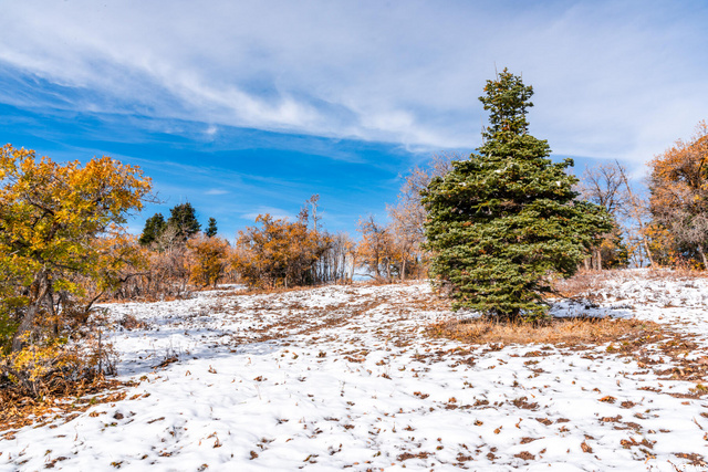185 Porcupine Loop #175, Wanship, UT 84017 — photo 3
