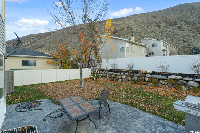 View from the patio