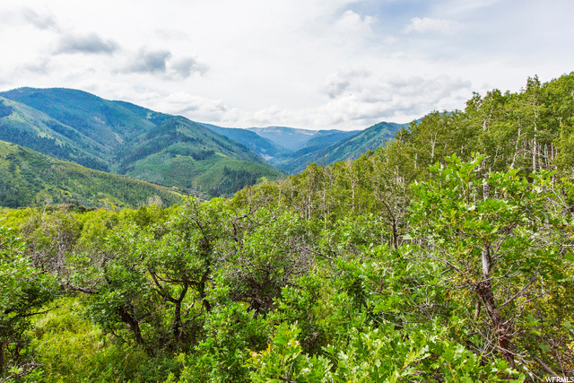 4301 Weber Canyon Rd, Oakley, UT 84055 — photo 8