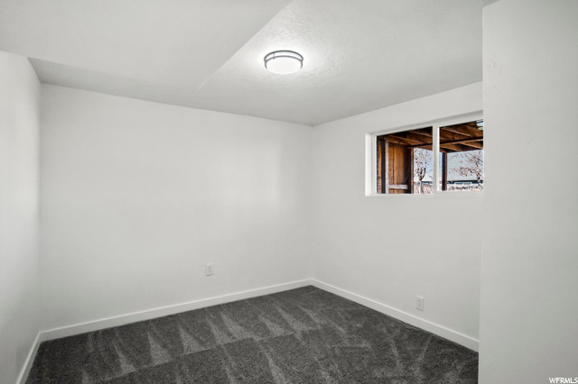 Bedroom 3 (downstairs)