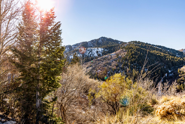 7331 Pine Ridge Dr #72, Park City, UT 84098 — photo 5