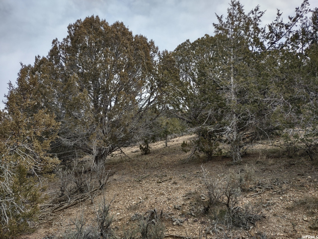 33886 N 8300 E, Fairview, UT 84629 — photo 11