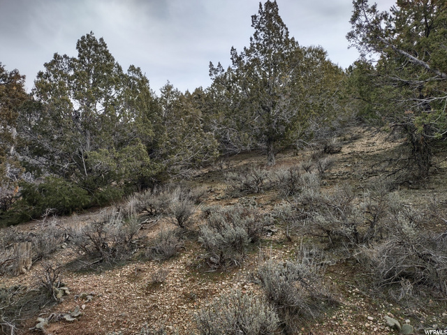 33886 N 8300 E, Fairview, UT 84629 — photo 7
