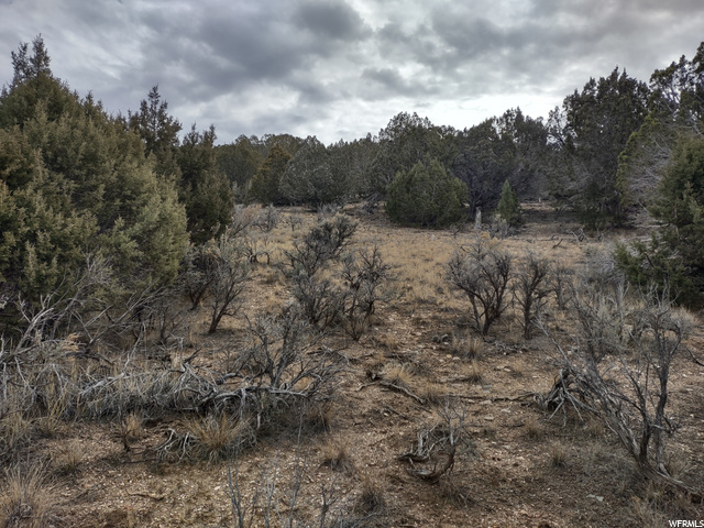 33886 N 8300 E, Fairview, UT 84629 — photo 6