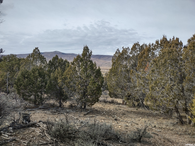 33886 N 8300 E, Fairview, UT 84629 — photo 2