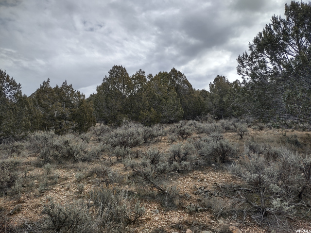 33886 N 8300 E, Fairview, UT 84629 — photo 3