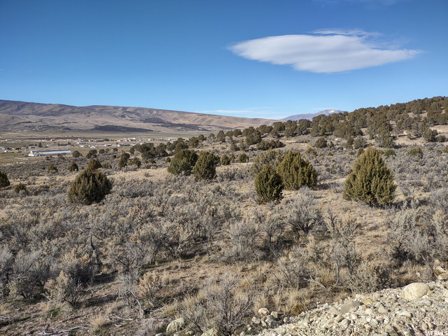 33886 N 8300 E, Fairview, UT 84629 — photo 10