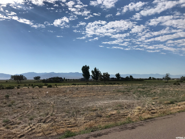 1650 N Sunset Dr, Delta, UT 84624 — photo 4
