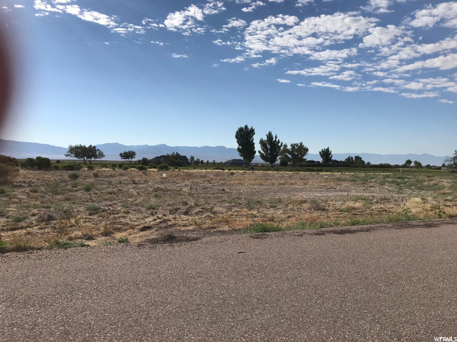 1650 N Sunset Dr, Delta, UT 84624 — photo 5