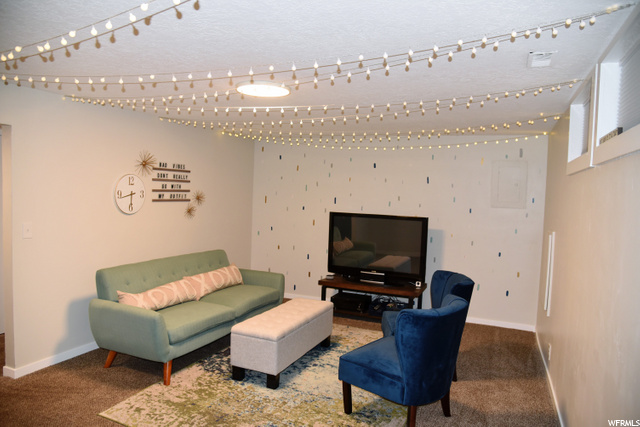 Basement Bonus room