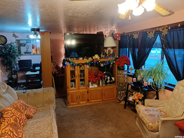315 W 100 S, Mona, UT 84645 — photo 9