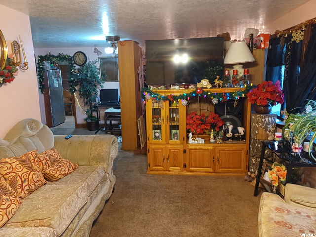 315 W 100 S, Mona, UT 84645 — photo 10