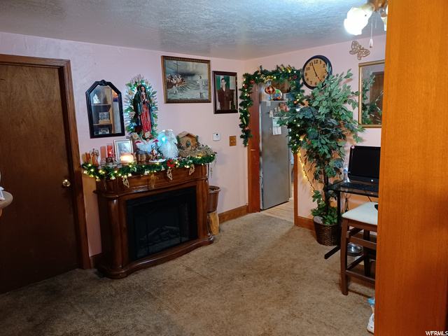 315 W 100 S, Mona, UT 84645 — photo 12