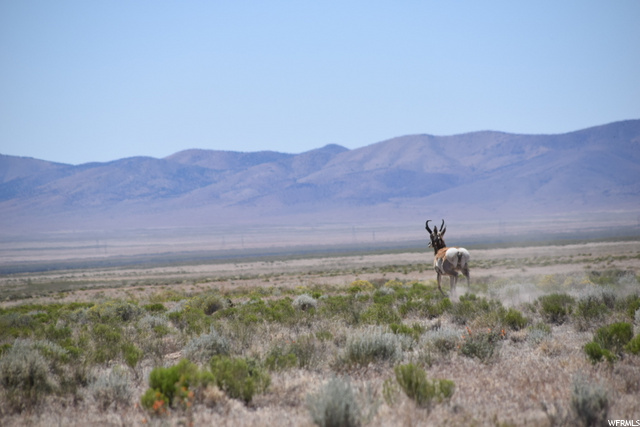 Garrison, UT 84728 — photo 6