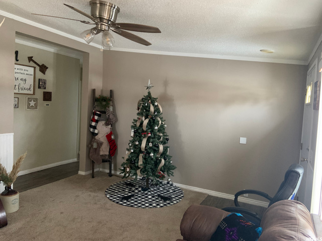90 E Silver Ave, Stockton, UT 84071 — photo 4